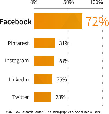 アメリカの SNS 利用率